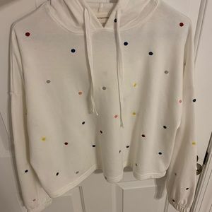 Boutique Cropped Hoodie
